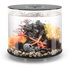 biOrb 72070 TUBE 35 LED, schwarz (35 Liter) - 360-Grad Deko-Aquarium | Komplett-Set aus Acryl-Glas mit LED-Beleuchtung, Filter-System und Boden-Keramik, 1 Stück (1er Pack)