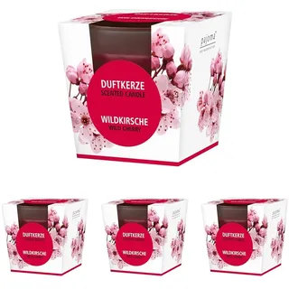 pajoma® Duftkerze, Wildkirsche - im satinierten Glas | 120g Wachsgewicht, Brenndauer: 25 Stunden, in edler Geschenkverpackung | Premium Qualität (Packung mit 4)