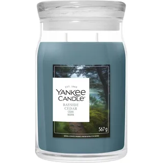 Yankee Candle Bayside Cedar Duftkerze 567 g blau