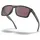 Steel Prizm daily polarized 9102B5 Glasdurchmesser 55 Bunt