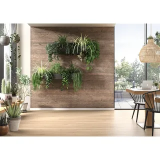 EGGER DecoWall Annaba Eiche Natur Braun 2 St. 125 x 66 cm