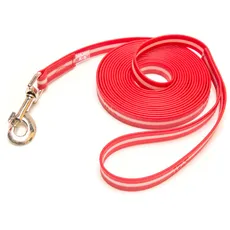 Julius-K9, 216IDC-L-R-5S, IDC Lumino Leine phosphoreszierend, 19mm*5 m, mit Schlaufe, Rot