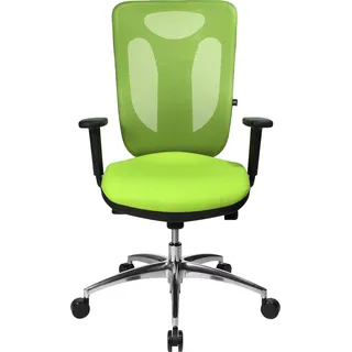 Sitness Net Pro 100 mit Armlehnen grün / alu poliert