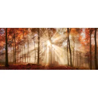 Bönninghoff Leinwandbild "Wandbild HERBSTWALD XXL 60x140 cm – Leinwandbild Keilrahmen Deko" Wald 1 Stk. tlg. auf Keilrahmen gespannt, farbe rahmen: kein rahmen, farbe bild(er): orange, braun, rot, gold