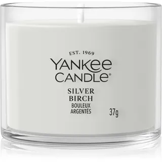 Yankee Candle Silver Birch Votivkerze 37 g