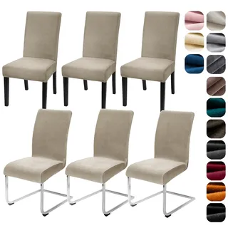 Alishomtll Stretch Samt Stuhlhussen 4er/6er Set Velvet/Velour Stuhlbezug Schwingstuhl Elastische Hussen Waschbarer Stühle Schutz für Küche Restaurant Hotel Bankett Hochzeit (Champagne, 6 Stück)