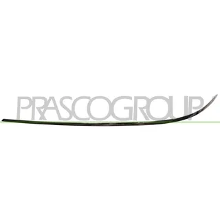 PRASCO Zier-/Schutzleiste, Stoßfänger ME0431244