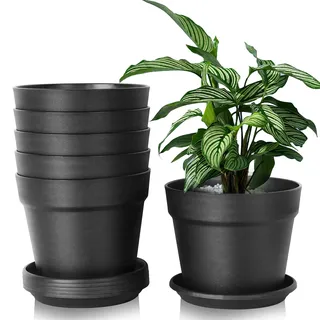 Solvant 16cm Kunststoff Blumentopf mit Untersetzer, 6er-Set Plastik Übertopf Kräutertopf mit Mehrere Ablauflöchern, Rund Pflanzkübel für Innen und Balkon Sukkulenten Kaktus, Schwarz (Schwarz, 20CM)