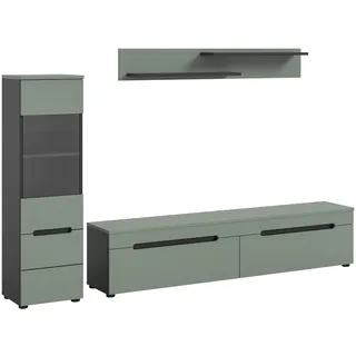 xonox.home Wohnwand Canu grün basaltgrau Nachbildung B/H/T: ca. 221x141x33 cm - grün, basaltgrau