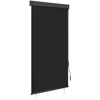 vidaXL Außenrollo 80 x 250 cm Anthrazit