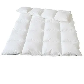 Traumina Plume Bio Daune WK 4 (Größe: 155x220 cm)
