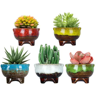 ARTKETTY 10 cm Keramik Sukkulente Pflanzgefäße Töpfe Mini Kaktus Pflanze Töpfe Moderne Glasiert Blumentöpfe Mit Drainageloch Perfekt Für Schreibtisch oder Windowsill (5 In Set)