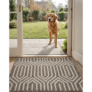 DEXI Fußmatte für Eingangsbereich, rutschfest, waschbar, niedriges Profil, saugfähig, schmutzabweisend, Innenbereich, Bodeneingangsmatte, Terrasse, 61 x 91 cm, Braun