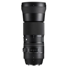 Bild 150-600 mm F5,0-6,3 DG OS HSM (C) Nikon F + Tele-Konverter