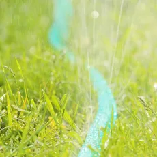 Bild von Bewässerungsschlauch, 25 m Länge, Beet-& Heckenbewässerung, flach, anschlussfertig, Schlauchregner, grün