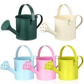 DOITOOL 5 Stück Kinder Gießkanne Metall 15Oz Mini Bewässerungstopf Mit Langer Tülle Für Garten Innen Und Außen Pflanzenpflege (Farbe zufällig)