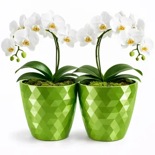 PECZEKO glänzender Blumentöpfe, Kunststoff-Pflanzentöpfe, dekorativer Blumentopf für große und kleine Blumen, 2er-Set Blumentöpf, Pflanztopf, Kräutertopf, (2 Pack) Grün, ø 16 cm