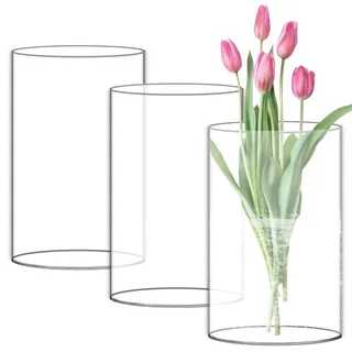 VEGOATY 3 Stück Hohe Glasvasen, H:15CM, 10CM Durchsichtige Glasvase Zylinder Mit Boden, Breite Öffnung Glasvasen,Blumenvase aus Borosilikat-Glas,Ideal zum Verzieren,für Tischdeko, Kerze, Tulpen