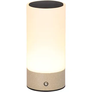 Dehner Solar-Lampe Levi Ø9 x H20 cm – LED Außenleuchte mit Solar- & Akkubetrieb, USB-C Kabel inkl., warmweiß, Dämmerungssensor, Edelstahl & Glas