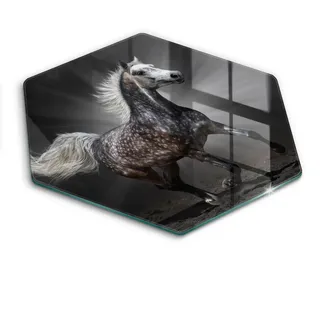 Wallfluent Glasplatte 40 cm Pferd im Galopp , Dunkelgrau , Glas , Rund , 40x40 cm , Küchenzubehör, Schneidebretter