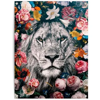 Poster REINDERS "Löwe", bunt (farbe bild(er): bunt), B:60cm H:80cm T:0,1cm, Leinwand, Bilder, Poster