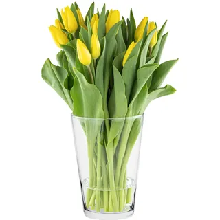 Trend For Home Tulpenvase H: 19 cm Blumenvase Glas Große Vase für Rosen Glasvase Rund Vase für Tulpen Amaryllis Vasee Gross Rosenvase Runde Glasvase Durchsichtige Vasee, ⌀ 14.2 cm, Alyssa