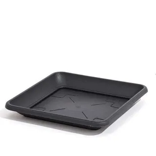 Prosper Plast pkwt27-s433 27 x 27 x 3,8 cm "Untertasse – Anthrazit