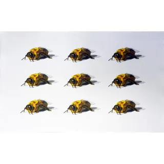 Half a Donkey Geschirrtuch, Baumwolle, weiß, 48 x 79 cm