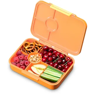 schmatzfatz Lunchbox, Unterteilte Brotdose Kinder, Lunchbox mit Fächern, Bunte Bento-Box für Schule & Kita, BPA-Freie Schuldose für Mädchen & Jungen, Jausenbox Spülmaschinenfest & Auslaufsicher
