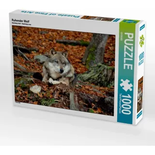 CALVENDO Puzzle Ruhender Wolf 1000 Teile Puzzle quer | Lege-Größe cm Foto-Puzzle für glückliche Stunden