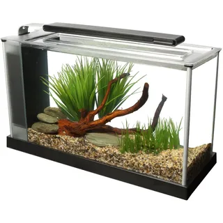 Fluval Spec 5 Nano Aquarium, mit 19L Fassungsvermoegen, in schwarz
