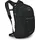 Daylite Plus 20 l schwarz