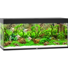 Bild von Juwel Rio 240 LED schwarz,