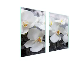 Glasschutzplatte Für Küche 65X52 Orchidee - Rosa