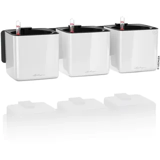 LECHUZA CUBE Glossy Green Wall Home Kit 15 x 48 x 14 cm Weiß highgloss