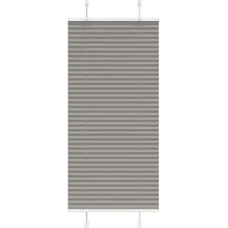 "2024"Moderne Plissee Anthrazit 55x150 cm Stoffbreite 54,4 cm Polyester - Rollos DE423286 - Grau
