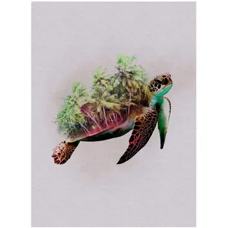 KOMAR Bild, »Animals Paradise Turtle« Tiere 1 Stk. tlg. Wandbild zur Dekoration, | ohne Rahmen, bunt