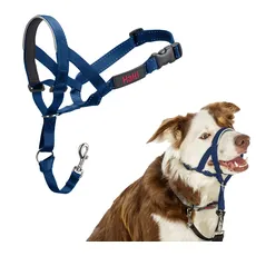 HALTI Kopfgeschirr - Verhindert, dass Ihr Hund an der Leine zieht, Einfache Anpassung, Leicht, mit gepolstertem Nasenriemen, Anti-Zug-Halsband für mittelgroße Hunde (Größe 2, Kobaltblau)