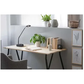 Fischer & Honsel Dent Schwarz