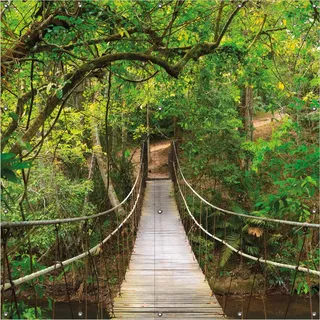 Wallario Outdoor-Poster für Garten oder Balkon, Motiv Hängebrücke im Urwald grüner Dschungel, in ca. 180 x 180 cm - Schwarz