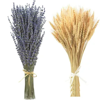Trockenblumen Deko Set Natürliche Lavendel Getrocknet& Weizen Getrocknet Blumen Dried Flowers Pflanzen Blumenstrauß Boho Deko für Wohnzimmer Home Hochzeit Vasen Tischdeko