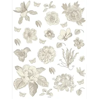 Grafiken Blumen Küche, Wohnzimmer, Büro, Schlafzimmer Wandstickers, Wandtattoo, Decals von AG Design | 65 x 85 cm | SSA 4204