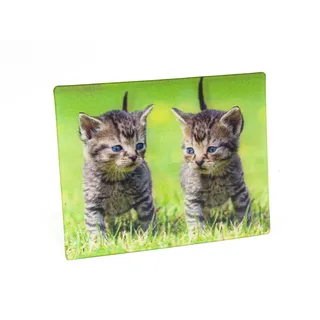 3 D Magnet Katzen, 9 x 7 cm, Tiere Katze Kätzchen, Kühlschrankmagnete Tier