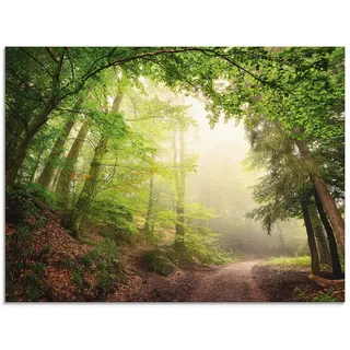 ARTland Wanddeko Glasbilder Wandbild Glas Bild einteilig 60x45 cm Querformat Wald Baum Natur Landschaft Nebel Sonne Sommer Landhaus T5GR