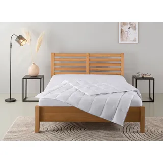 OTTO home "Moulle, Bettdecke 135x200 cm und 155x220 cm", leicht Füllung: 90% Daunen, 10% Federn, 1 Stk. tlg. Bettdecken, Sommer oder Winter, Decke, Made in Germany, atmungsaktiv,