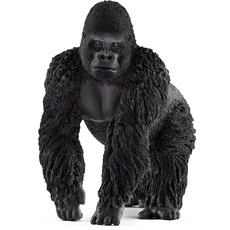 Bild Wild Life Gorilla Männchen 14770