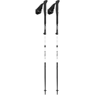 Leki Skyterra FX Carbon SL Compact 100-120 cm weiss