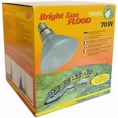 Bild von Bright Sun Flood Desert Lampe 70W (63641)