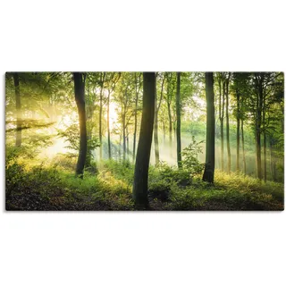 Artland Wandbild »Herbst im Wald II«, Waldbilder, (1 St.), als Alubild, Outdoorbild, Leinwandbild, Poster, Wandaufkleber Artland grün