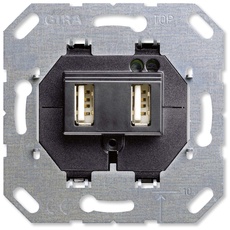 Bild Einsatz USB-Spannungsversorgung 2fach Typ A / Typ A (2359 00)